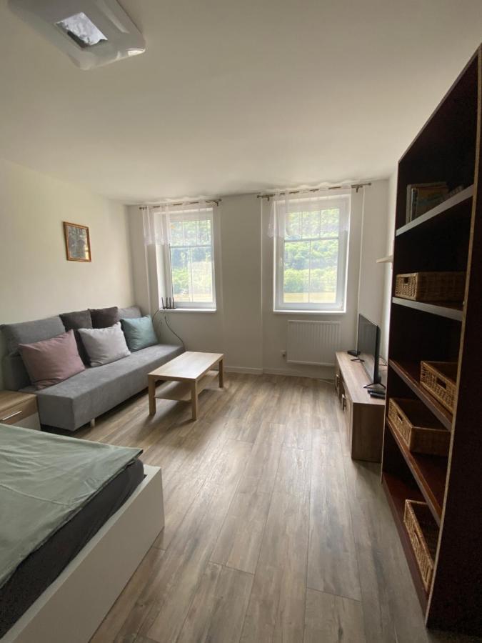 Apartmany U Viaduktu 46 Ústí nad Labem Dış mekan fotoğraf